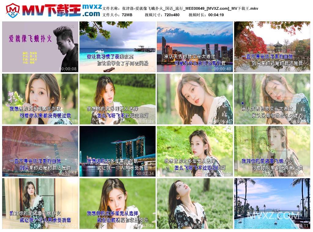 张津涤-爱就像飞蛾扑火_国语_流行_MEE00649